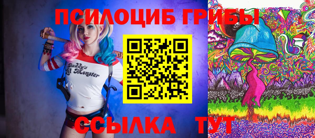 Одинцово  Галлюциногенные грибы MAGIC MUSHROOMS  Псилоцибиновые грибы MAGIC MUSHROOMS  Вход с VPN 